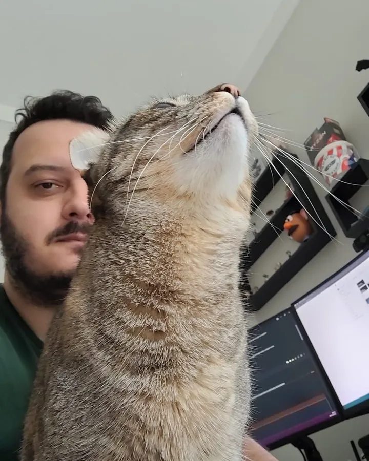 Melissa reaching up for a nuzzle at the desk